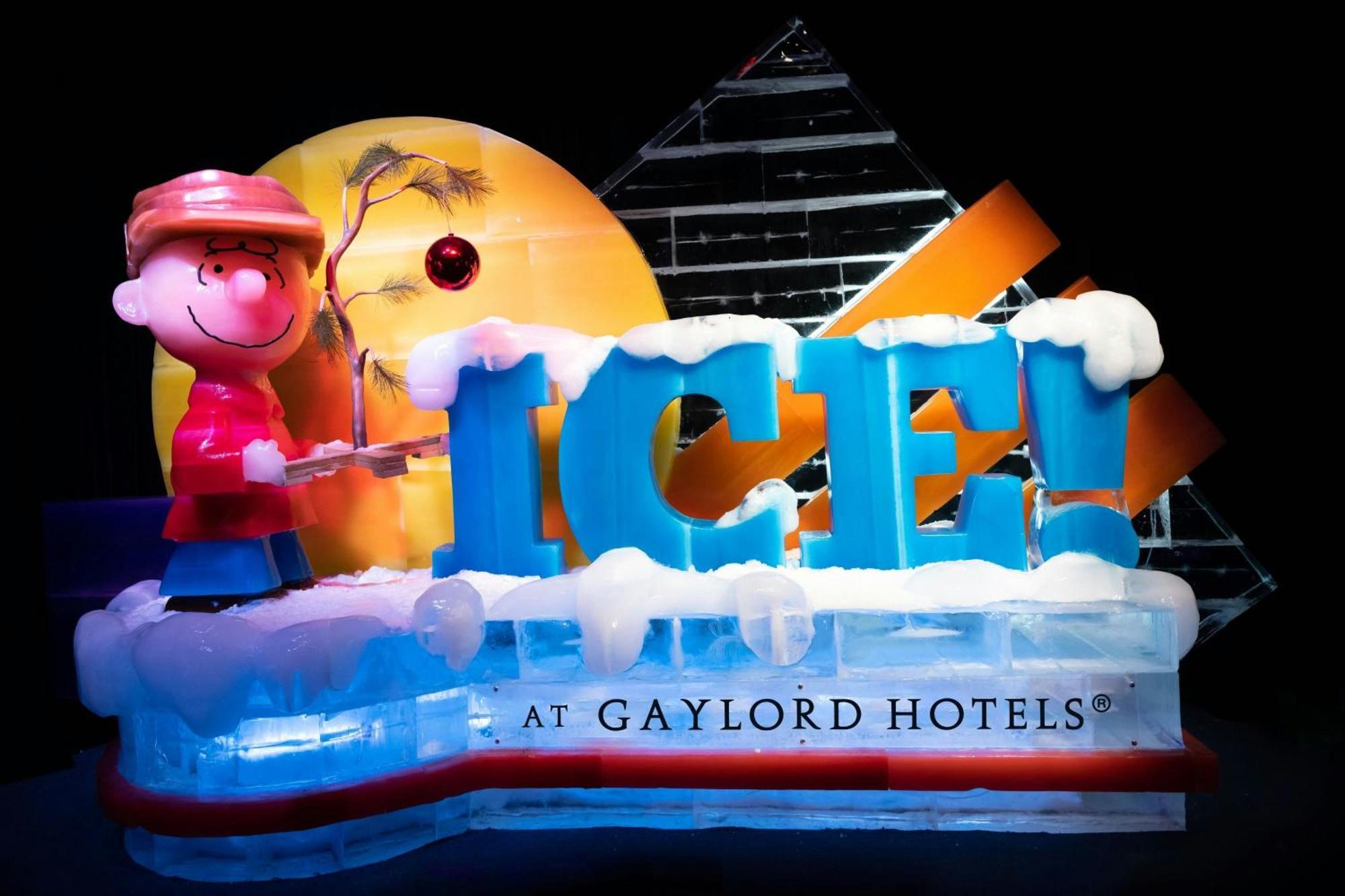 Gaylord Texan And Convention Center Resort 4*